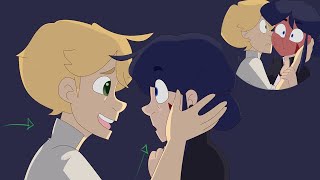 The Reveal Part 2 Miraculous Ladybug Comic Dub [upl. by Benjie]