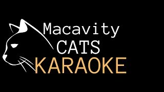 Macavity Karaoke Cats Karaoke by Jared Atkin [upl. by Ezalb]