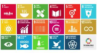 UN Sustainable Development Goals SDGs What They Are amp Why Theyre Important [upl. by Wesa]