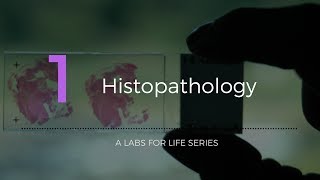 Histopathology [upl. by Olav]