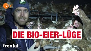 BioEier Massentierhaltung und Tierleid  frontal [upl. by Aridni]