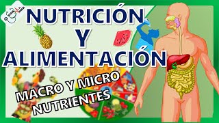 CONCEPTOS BÁSICOS DE NUTRICIÓN Y ALIMENTACIÓN  GuiaMed [upl. by Lebiram617]