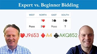 How beginner intermediate and expert players might bid this bridge hand differently [upl. by Aisatsana631]