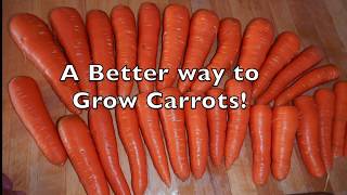 How to Sow Carrot Seeds [upl. by Nahtnanhoj]