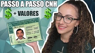 Como Tirar a CNH Carteira de Motorista  Aline Nogueira [upl. by Euqinobe296]