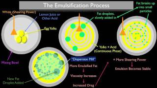 The Emulsification Process [upl. by Allenaj]