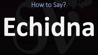 How to Pronounce Echidna CORRECTLY [upl. by Sorensen]