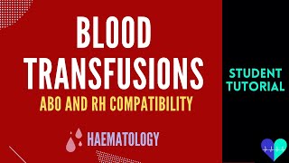 Blood Types Explained Easy and Simple [upl. by Onailime]