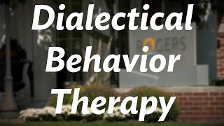 Rogers therapist gives an overview of Dialectical Behavior Therapy DBT [upl. by Shane983]