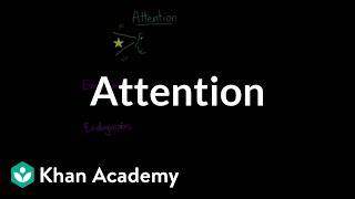 Divided attention selective attention inattentional blindness amp change blindness  Khan Academy [upl. by Naujak]