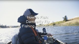 How to Fish Damselfly Fly Fishing Strategies  GoFishBC [upl. by Ylreveb]