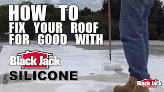 How To Apply Silicone Roof Coatings Using Black Jack® Silicone [upl. by Holleran]