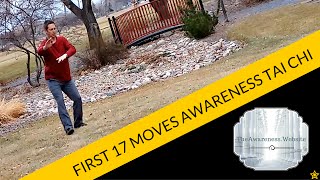 First 17 Moves of Awareness Tai Chi [upl. by Hiroko875]