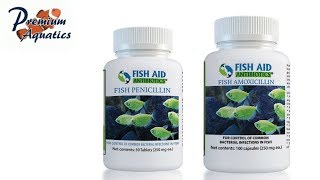 Fish Aid Antibiotics [upl. by Garrott243]