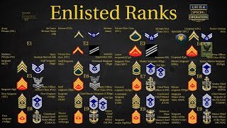 US Military All Branches ENLISTED Ranks Explained [upl. by Llemart]