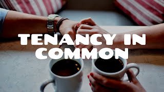 Tenancy in Common Part 1  Land Law [upl. by Aicilif]