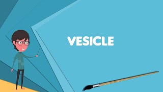 What is Vesicle biology and chemistry Explain Vesicle biology and chemistry [upl. by Aiepoissac]