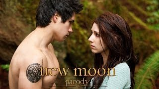 New Moon Parody by The Hillywood Show™ [upl. by Aldon]