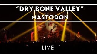 Mastodon Live Performance [upl. by Luapleahcim148]