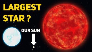 What is the Largest Star in the Universe [upl. by Fortier]