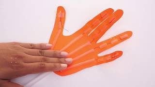 Awesome Muscle System Hand Craft  Kids Paper DIY [upl. by Emyle]