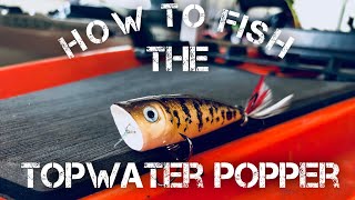 How to Fish a Topwater Popper  Bass Fishing [upl. by Inoj485]