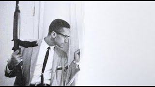 Malcolm X  The Ballot or the Bullet full speech [upl. by Emorej]