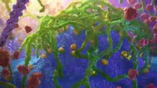 Inner Life of a Cell  Protein Packing Animation [upl. by Eybba]