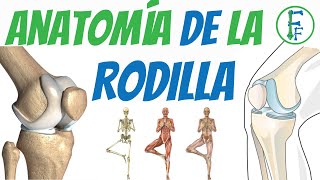 Ejercicios para fortalecer la rodilla  Nivel de recuperación inicial [upl. by Okajima]