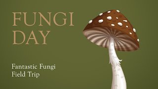 Fungi Day Fantastic Fungi Field Trip [upl. by Healion639]