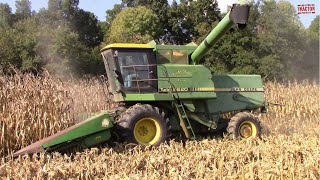 JOHN DEERE 6620 TURBO Combine Harvesting Corn [upl. by Ahsenaj]