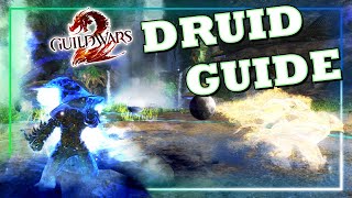 Guild Wars 2 Druid PvE Guide [upl. by Maje]