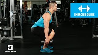 How to Dumbbell Squat  Mike Hildebrandt [upl. by Eelyam]