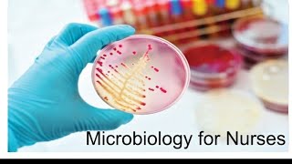 Microbiology for Nurses Introduction to Microbiology [upl. by Egidius219]