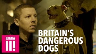 Professor Green on the Murky World of Dangerous Dogs [upl. by Etnecniv]