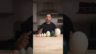 I Cooked the World’s CRAZIEST Eggs [upl. by Shana]