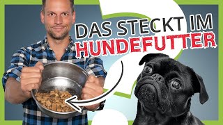 Was steckt wirklich im HUNDEFUTTER Die unbequeme Wahrheit [upl. by Arotak]