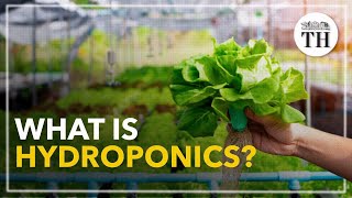 All about Hydroponics [upl. by Rehpotsrihc]