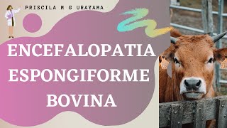 Encefalopatia Espongiforme Bovina EEB  Doença da quotVaca Loucaquot [upl. by Eelimaj]