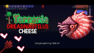 How To Cheese MASTER MODE Dreadnautilus In Terraria [upl. by Einnoc]