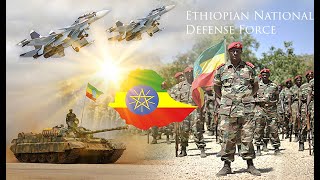 Ethiopian Military Power 2020 I የኢትዮጵያ ወታደራዊ አቅም 2020 [upl. by Htaek]