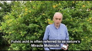 Fulvic Acid Benefits Fulvic Restore and Trace Mineral Complex [upl. by Recneps3]