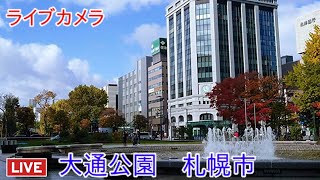 ライブカメラ 大通公園 北海道 Live camera Odori Park Hokkaido [upl. by Ettevahs]