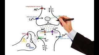 Pharmacology  ANTIEPILEPTIC DRUGS MADE EASY [upl. by Richmond254]