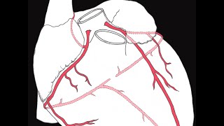 Coronary circulation of the heart [upl. by Madelon307]