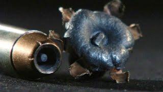 Wound Ballistics  Round Nose vs Hollow Point [upl. by Dekow42]