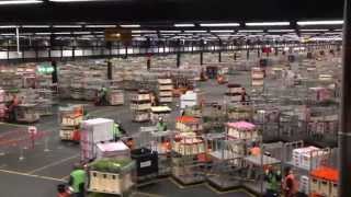 Aalsmeer Flower Auction Holland  European Waterways [upl. by Aneeled]