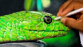 How to Draw a Realistic Snake  Time Lapse [upl. by Diane]