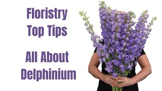 Top Tips For Florists using Delphinium [upl. by Ynottirb]