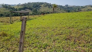 SITIO A VENDA DE 1452hectares em São Sebastião do Paraíso MG [upl. by Eseekram]